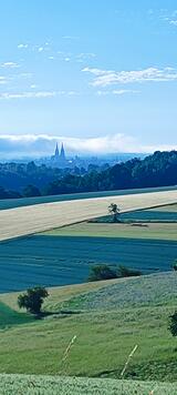 Der Dom taucht aus dem Morgennebel auf