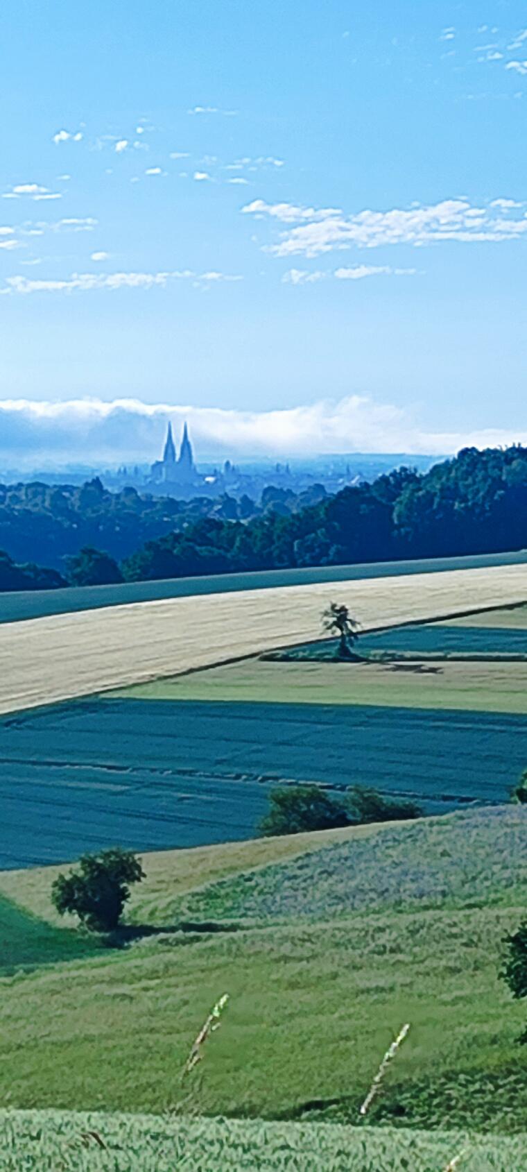 Der Dom taucht aus dem Morgennebel auf